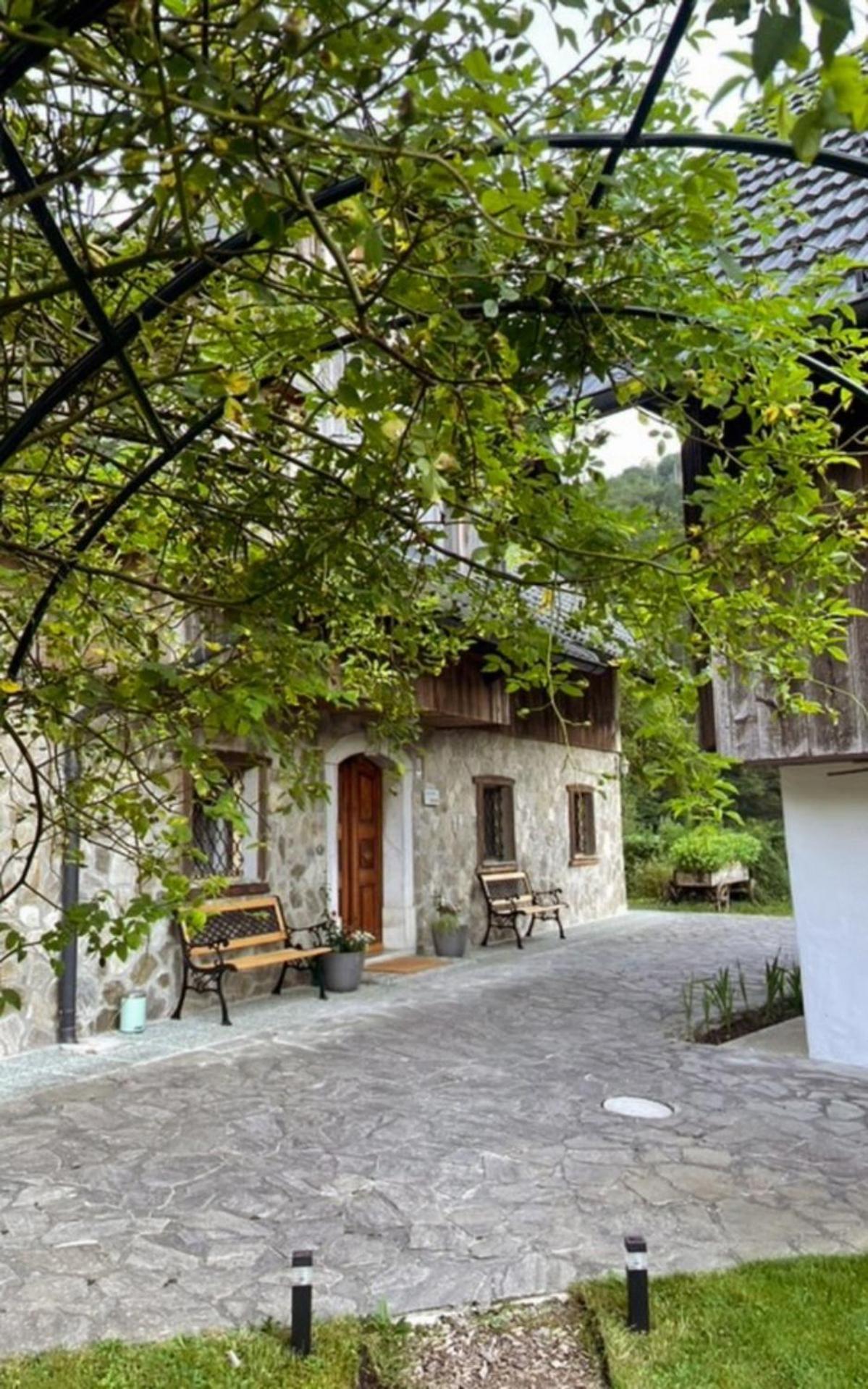 4 Elements Glamping & Apartments Bled Exterior foto